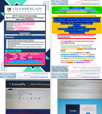 NR507 Week 8 Final Exam Due 22th December 2025 Complete Actual Exam Questions 1- 100 NR-507 Advanced Pathophysiology NR 507 Midterm and Finals Examplify Online Proctored Exam - Your Assignment Handlers (Bypass_proctored_Exams)