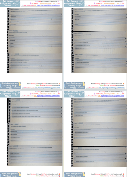 NR507 Week 8 Final Exam Due 22th December 2025 Complete Actual Exam Questions 1- 100 NR-507 Advanced Pathophysiology NR 507 Midterm and Finals Examplify Online Proctored Exam - Your Assignment Handlers (Bypass_proctored_Exams)