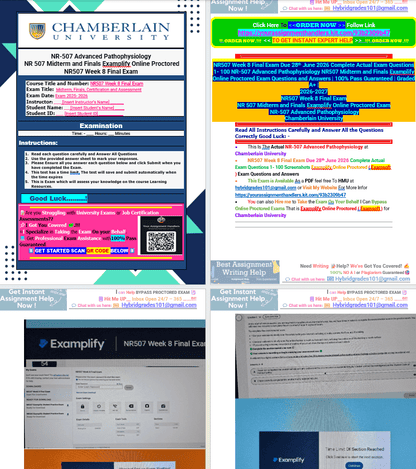 NR507 Week 8 Final Exam Due 28th June 2026 Complete Actual Exam Questions 1- 100 NR-507 Advanced Pathophysiology NR507 Midterm and Finals Examplify Online Proctored Exam Questions and Answers | 100% Pass Guaranteed | Graded A+ | - Your Assignment Handlers (Bypass_proctored_Exams)