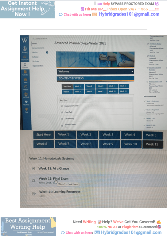 NURS6521 Week 11 Final Exam Review Complete Questions 1-101 Actual Online Exam NURS - 6521N Advanced Pharmacology Questions and Answers - Your Assignment Handlers (Bypass_proctored_Exams)