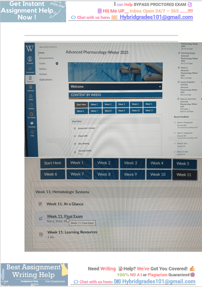NURS6521 Week 11 Final Exam Review Complete Questions 1-101 Actual Online Exam NURS - 6521N Advanced Pharmacology Questions and Answers - Your Assignment Handlers (Bypass_proctored_Exams)